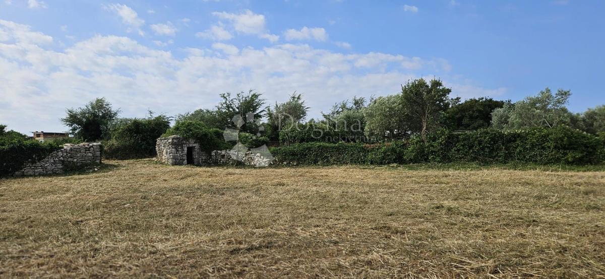 Zazidljivo zemljišče Vodnjan, 1.061m2