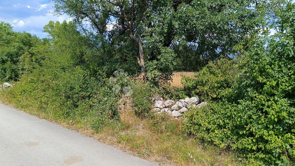 Zazidljivo zemljišče Soboli, Čavle, 3.500m2