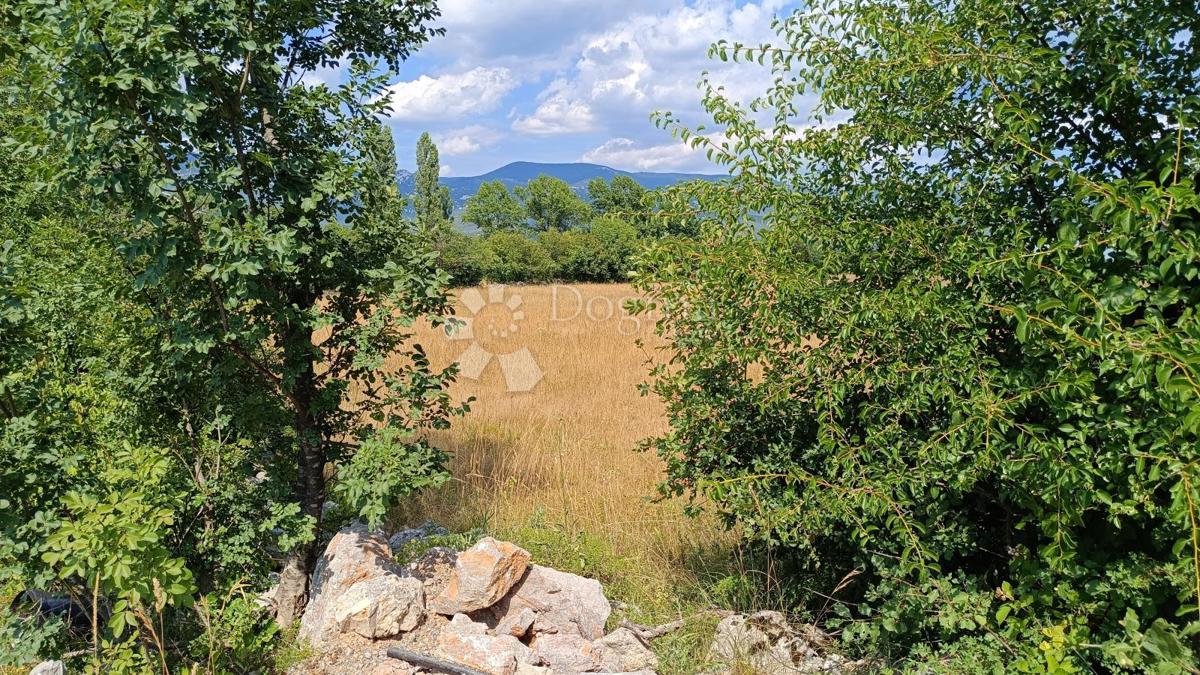 Zazidljivo zemljišče Soboli, Čavle, 3.500m2