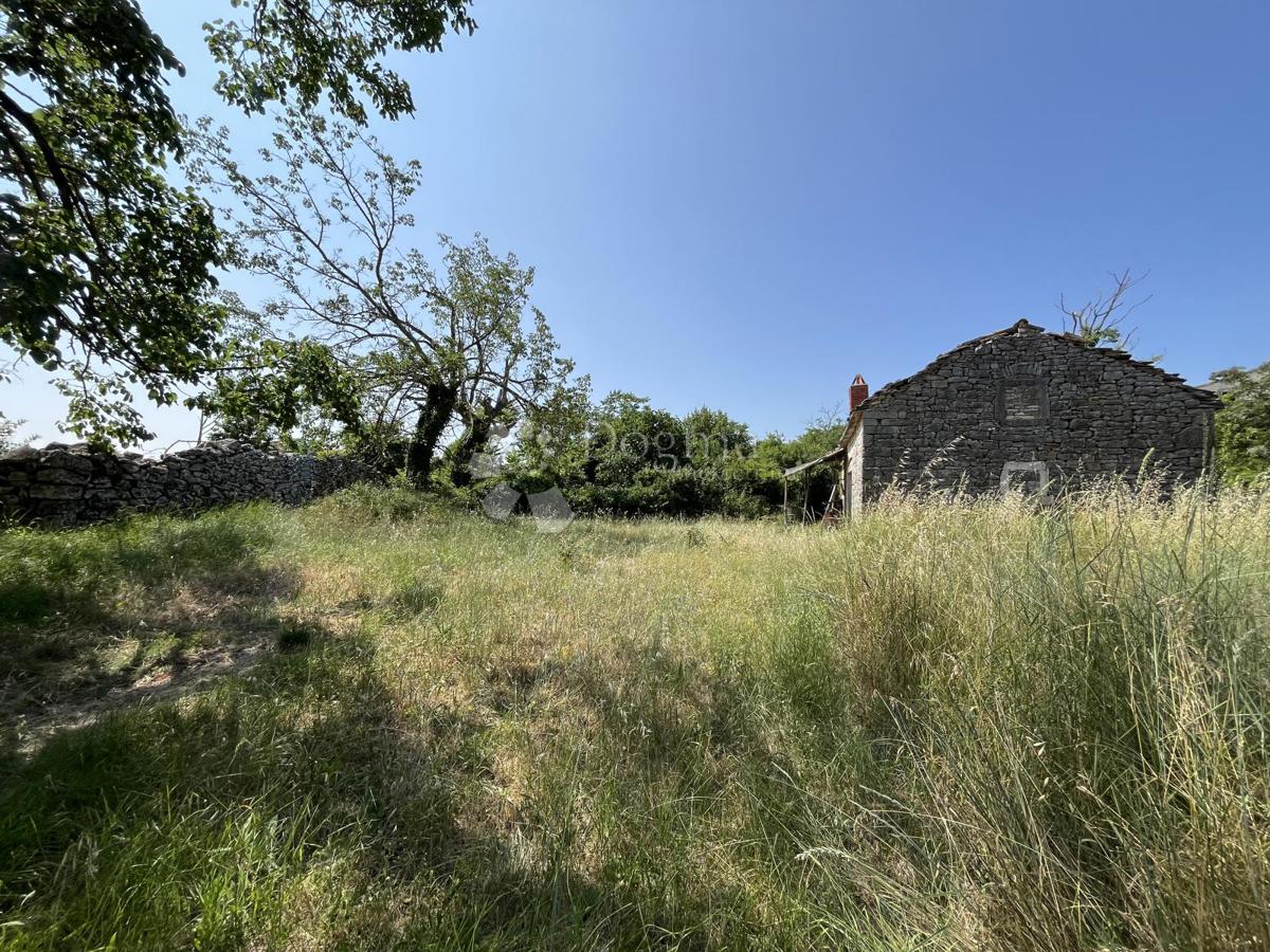 OKOLICA VIŠNJANA, ČUDOVITO ZEMLJIŠČE S KAMNITO HIŠO ZA OBNOVO