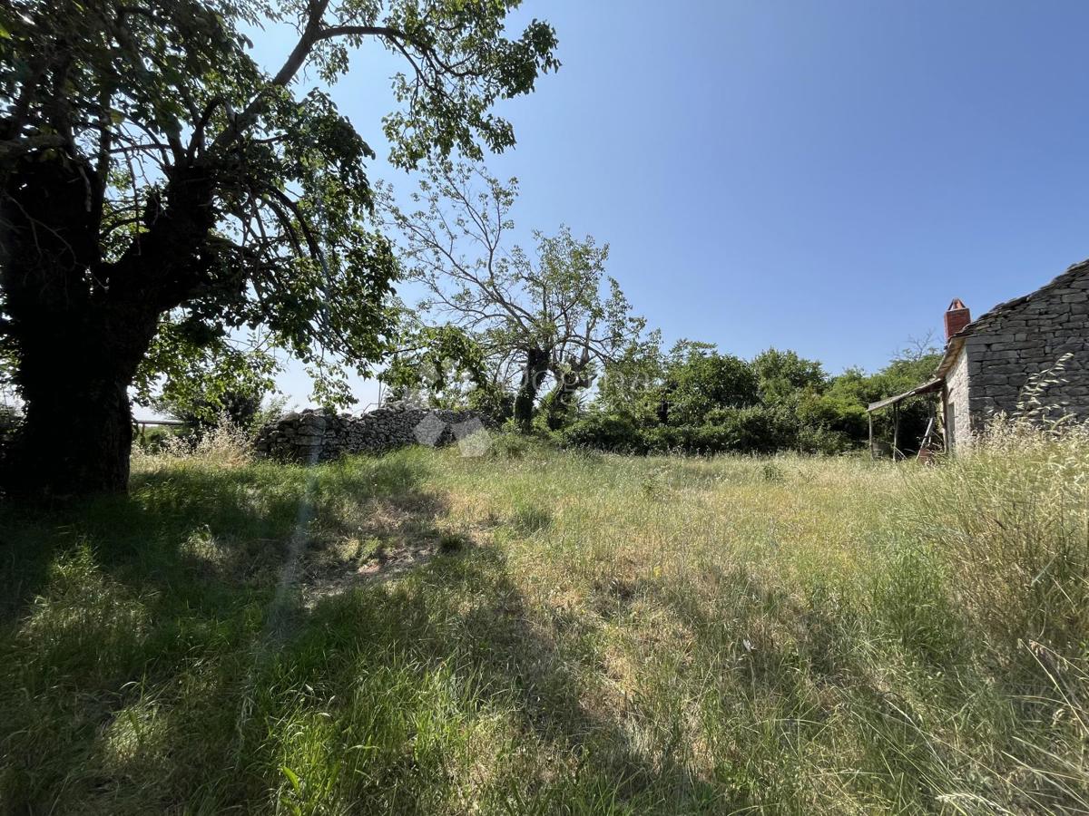 OKOLICA VIŠNJANA, ČUDOVITO ZEMLJIŠČE S KAMNITO HIŠO ZA OBNOVO