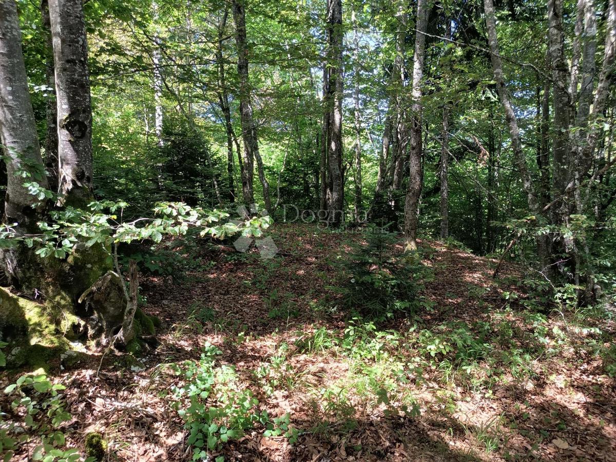 Zazidljivo zemljišče Saborsko, 4.514m2