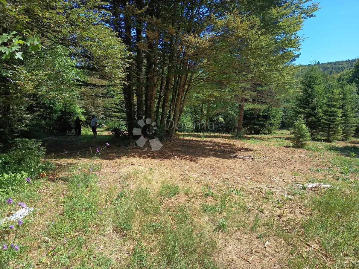Zazidljivo zemljišče Saborsko, 4.514m2