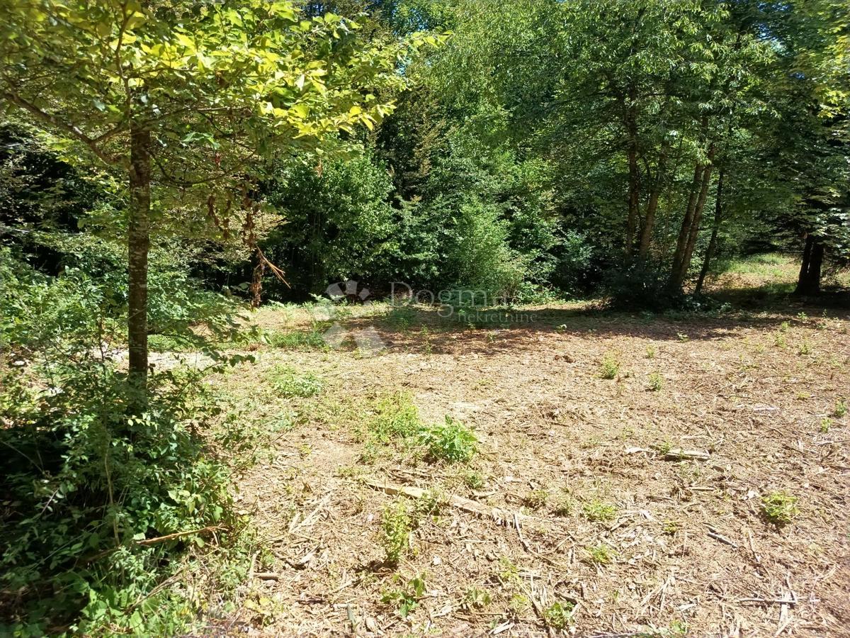 Zazidljivo zemljišče Saborsko, 4.514m2