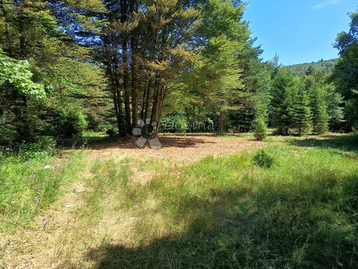 Zazidljivo zemljišče Saborsko, 4.514m2