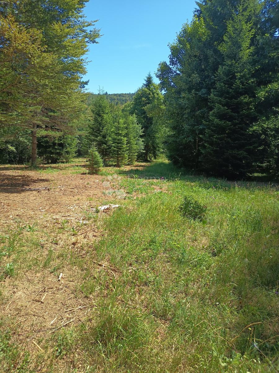 Zazidljivo zemljišče Saborsko, 4.514m2