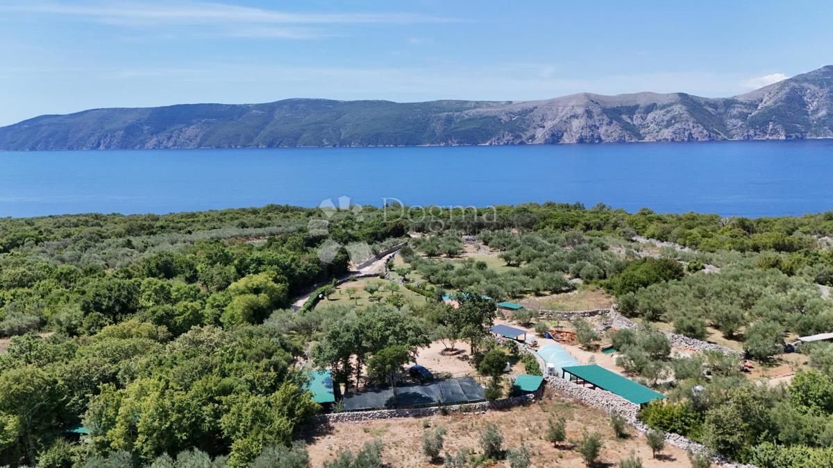 Kmetijsko zemljišče Brzac, Krk, 2.429m2