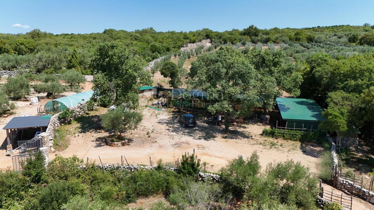 Kmetijsko zemljišče Brzac, Krk, 2.429m2