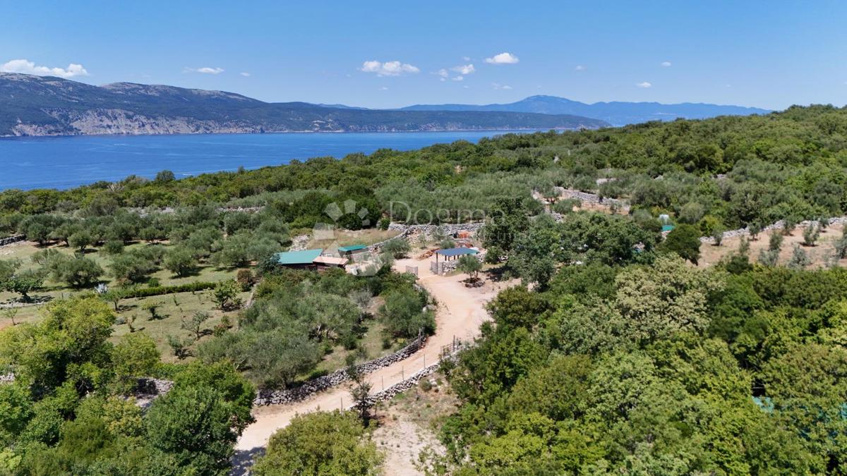 Kmetijsko zemljišče Brzac, Krk, 2.429m2