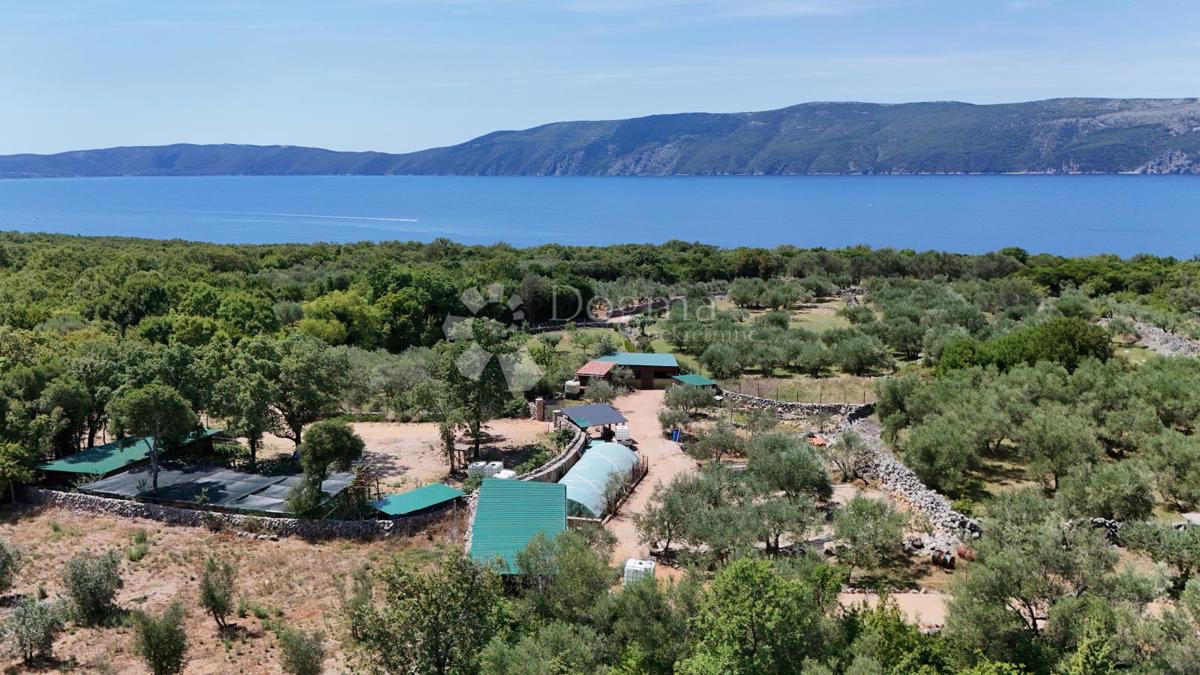 Kmetijsko zemljišče Brzac, Krk, 2.429m2