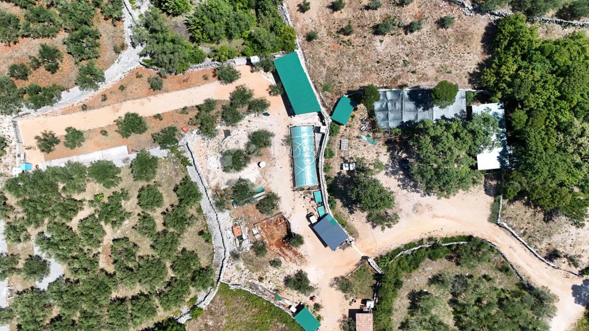 Kmetijsko zemljišče Brzac, Krk, 2.429m2