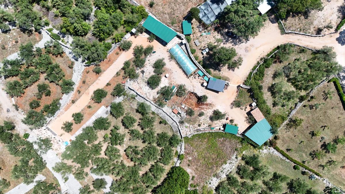 Kmetijsko zemljišče Brzac, Krk, 2.429m2