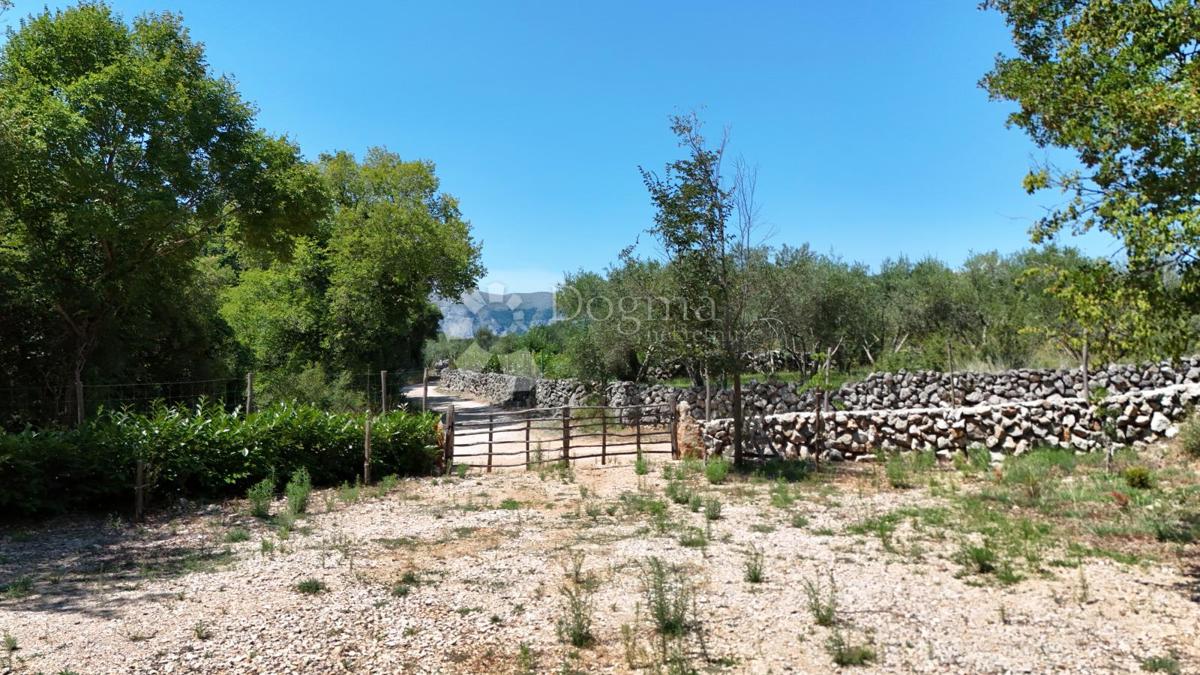 Kmetijsko zemljišče Brzac, Krk, 2.429m2