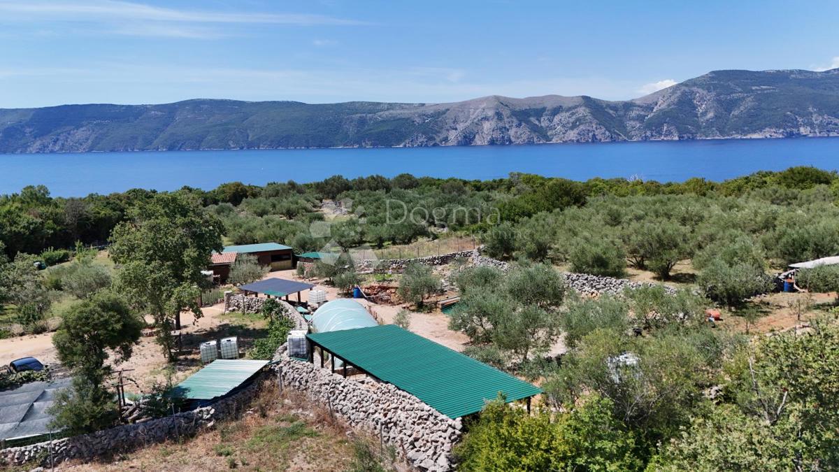 Kmetijsko zemljišče Brzac, Krk, 2.429m2