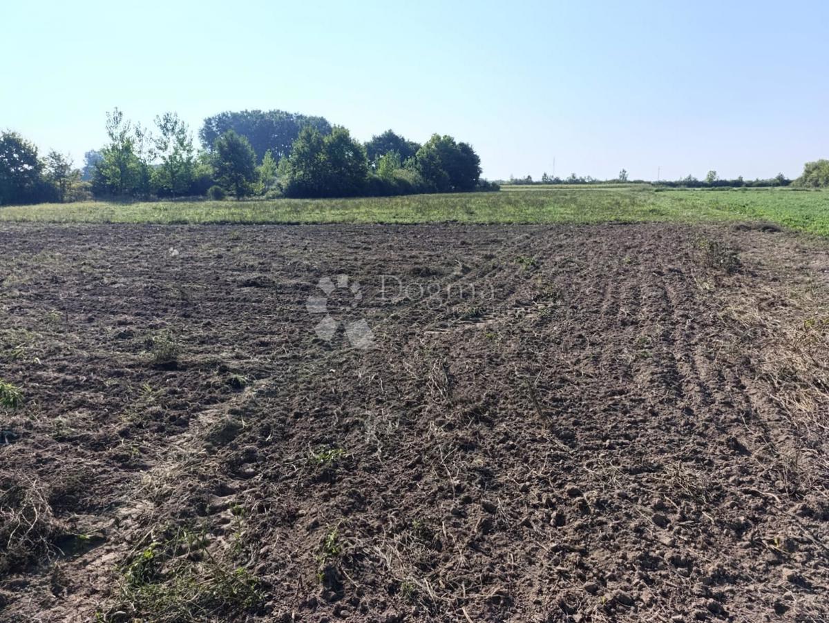 Kmetijsko zemljišče Đakovo, 9.499m2