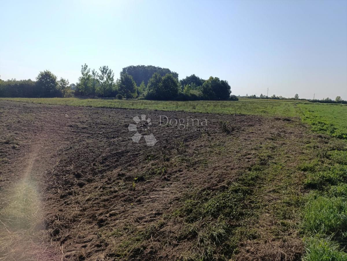 Kmetijsko zemljišče Đakovo, 9.499m2