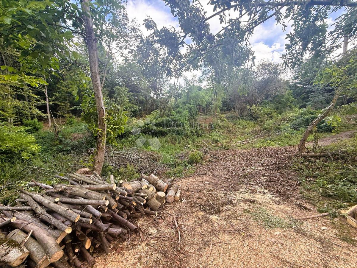 Zazidljivo zemljišče Grabrovnik, Štrigova, 4.830m2