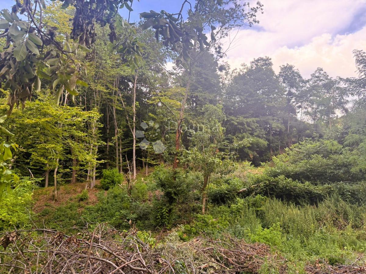 Zazidljivo zemljišče Grabrovnik, Štrigova, 4.830m2