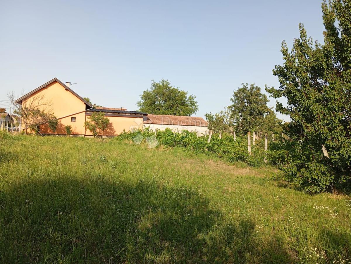 Zazidljivo zemljišče Korog, Tordinci, 809m2