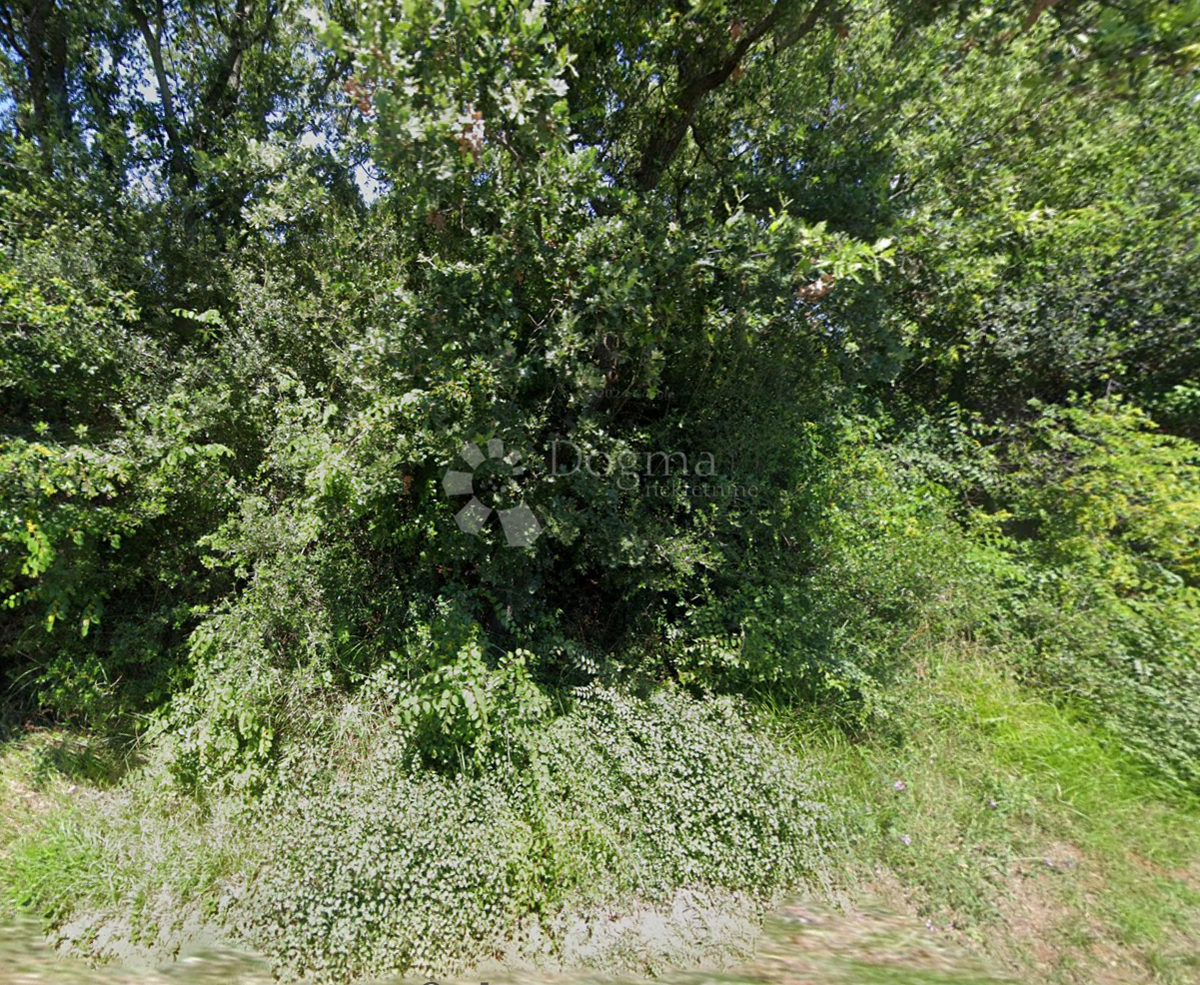 Kmetijsko zemljišče Vodnjan, 542m2