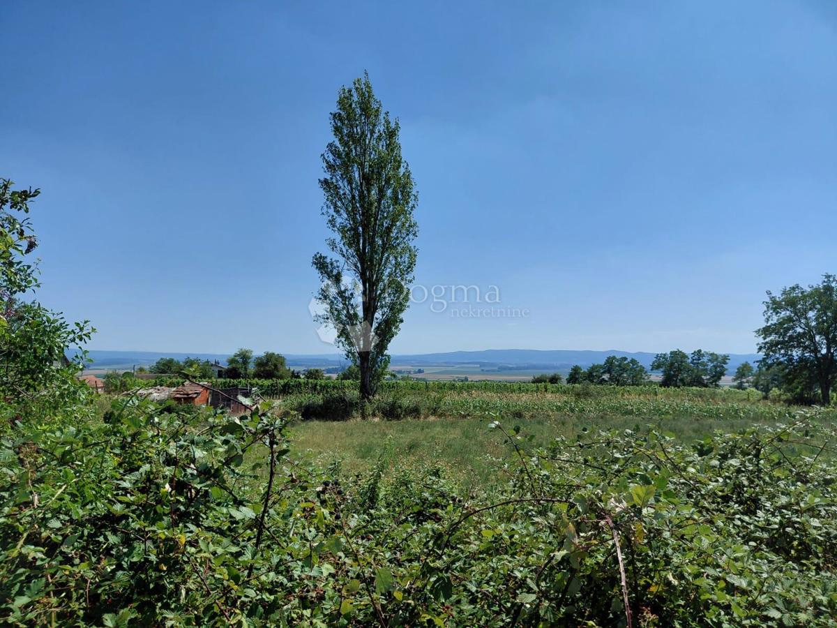 Hiša Vetovo, Kutjevo, 120m2