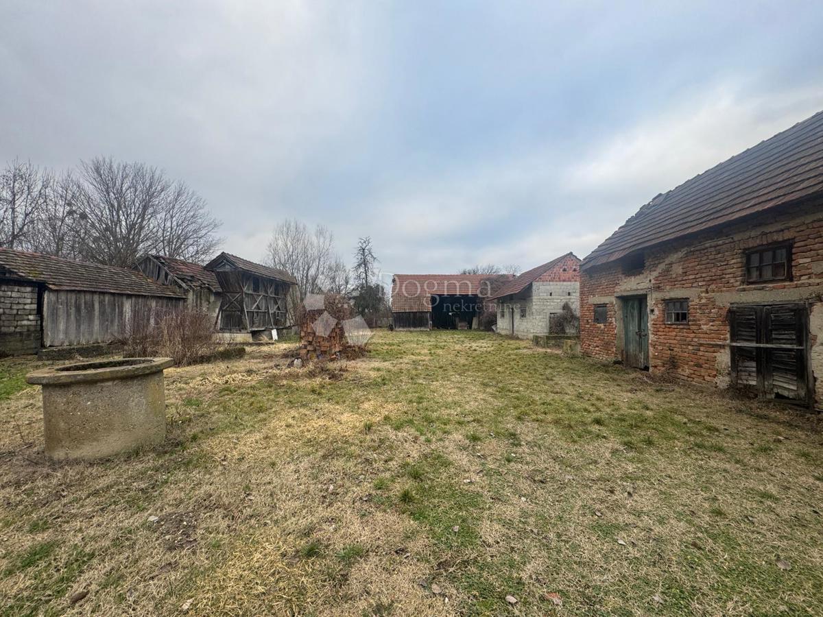 Hiša Karlovec Ludbreški, Sveti Đurđ, 6.975m2