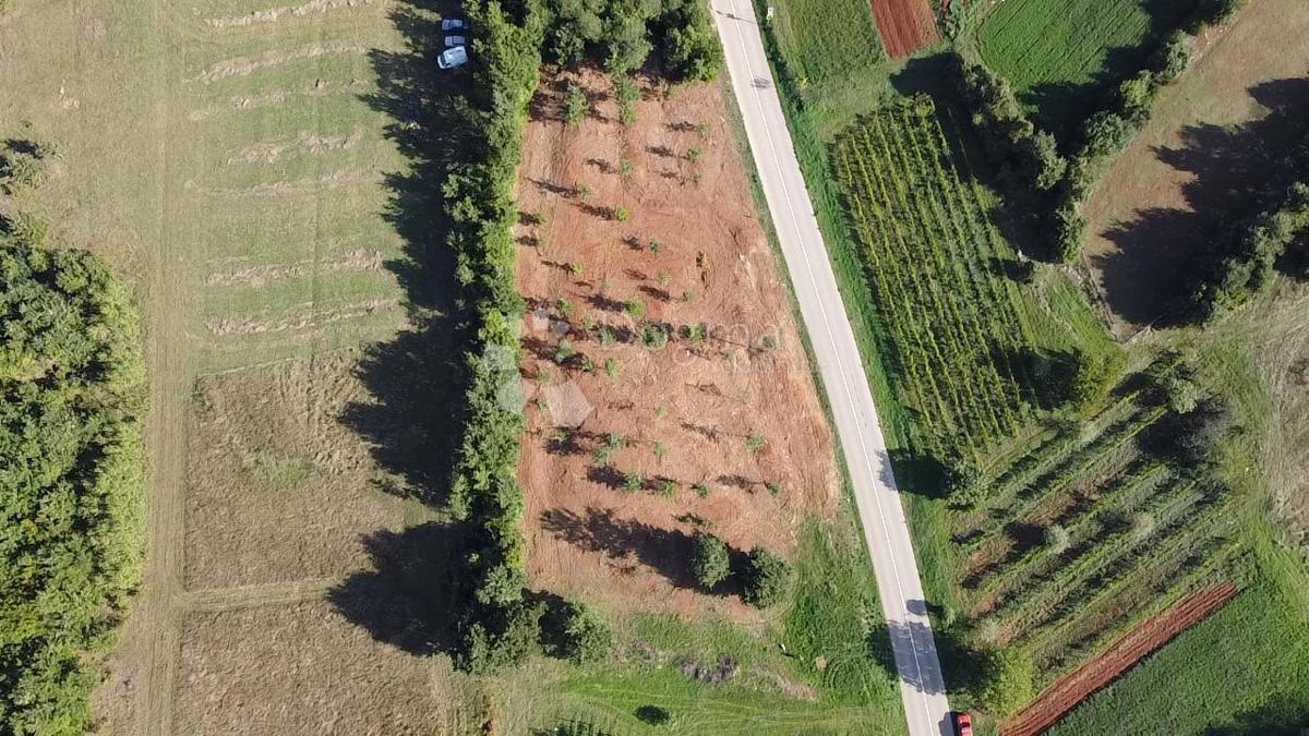 Zazidljivo zemljišče Barban, 544m2