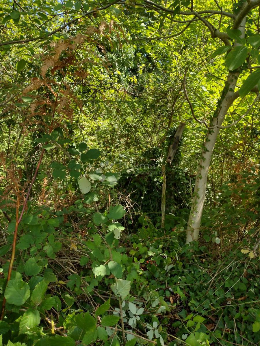 Zazidljivo zemljišče Trepča, Gvozd, 46.129m2