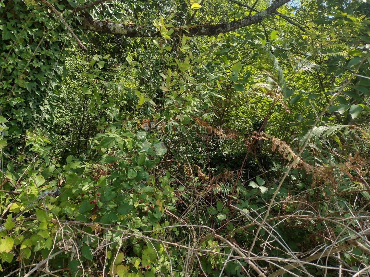 Zazidljivo zemljišče Trepča, Gvozd, 46.129m2