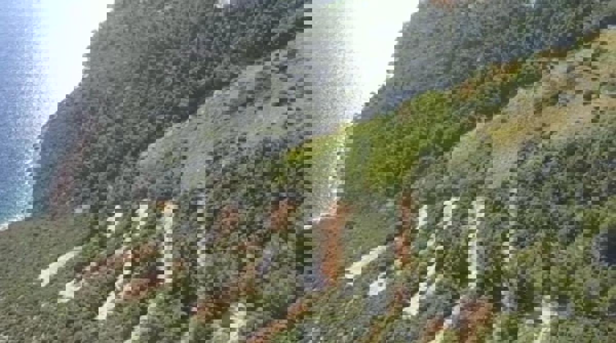 Življenjska priložnost – Kmetija v srcu Dingača