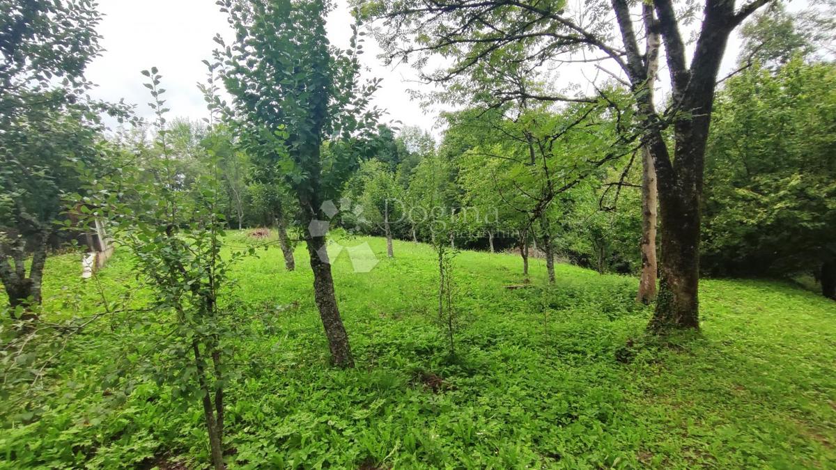 Hiša Divjake, Skrad, 120m2