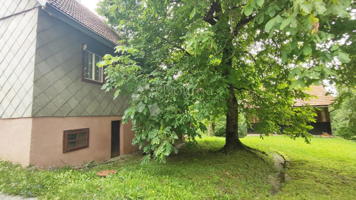 Hiša Divjake, Skrad, 120m2