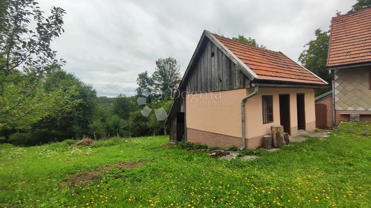 Hiša Divjake, Skrad, 120m2