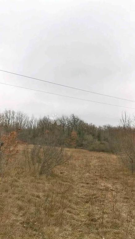kmetijsko zemljišče 2989 m2