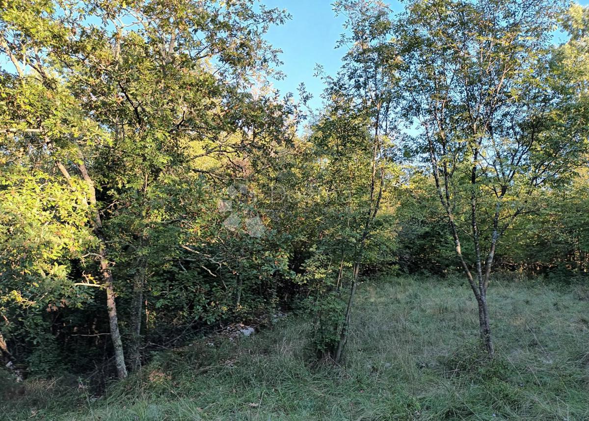 Kmetijsko zemljišče Kastav, 9.199m2