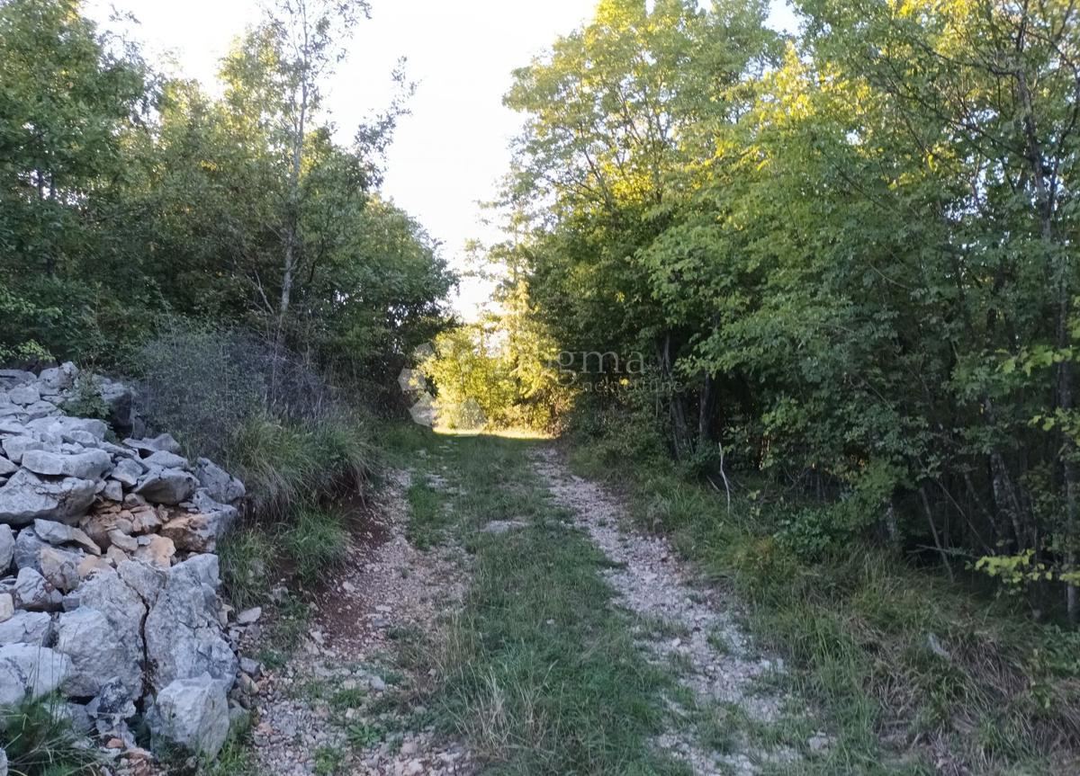 Kmetijsko zemljišče Kastav, 9.199m2