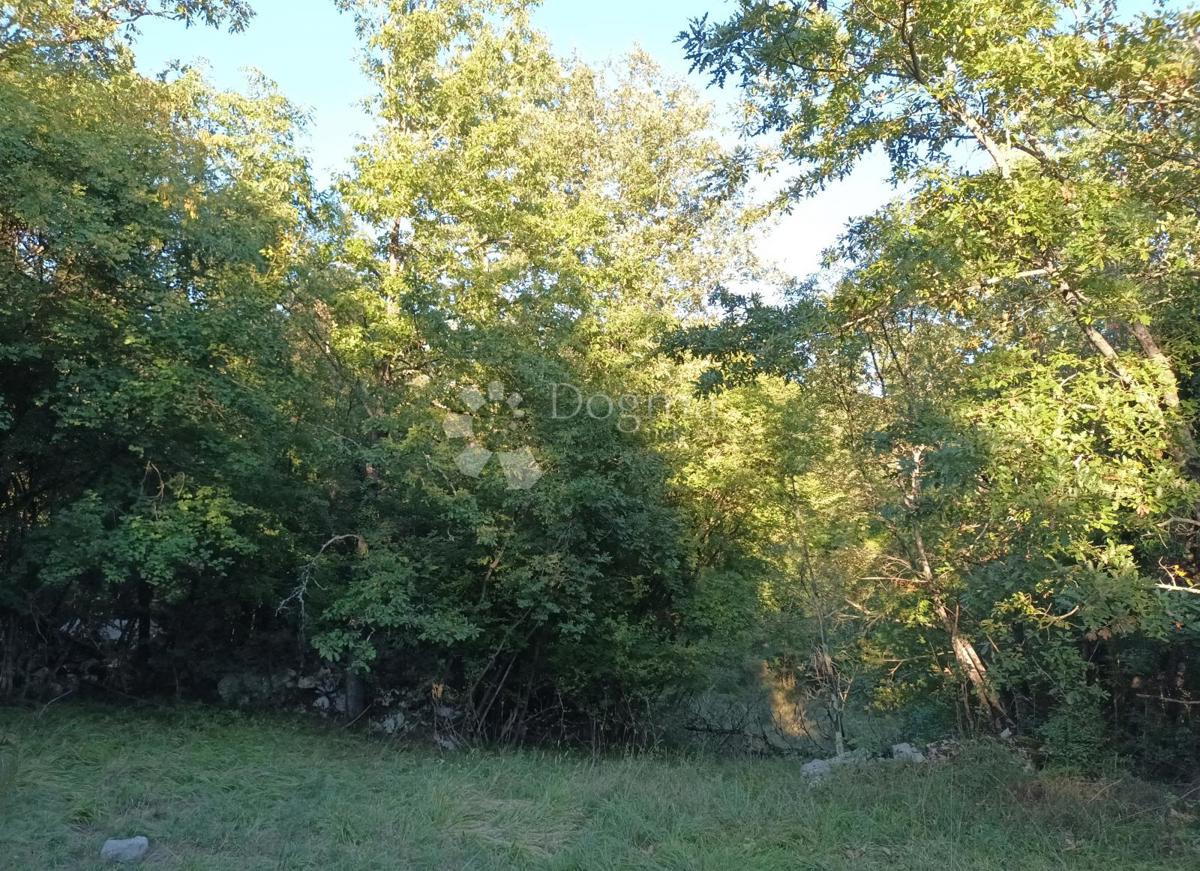 Kmetijsko zemljišče Kastav, 9.199m2