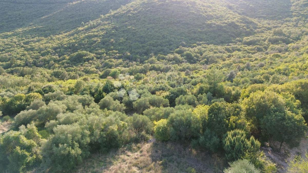 Kmetijsko zemljišče Labin, 8.200m2
