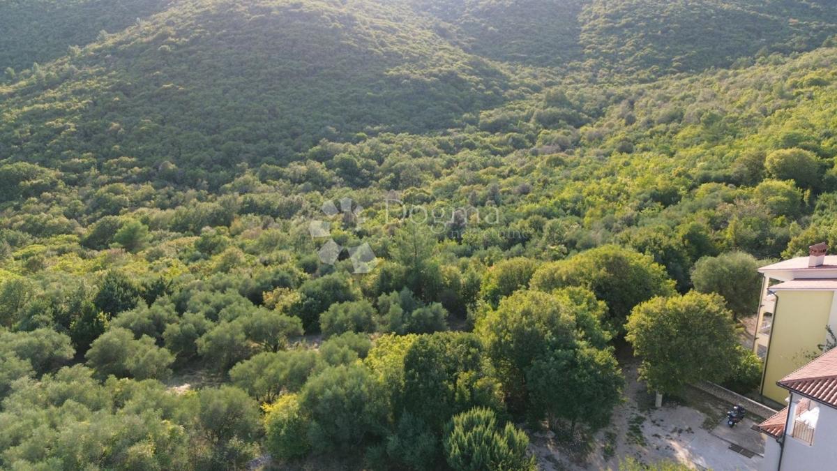 Kmetijsko zemljišče Labin, 8.200m2