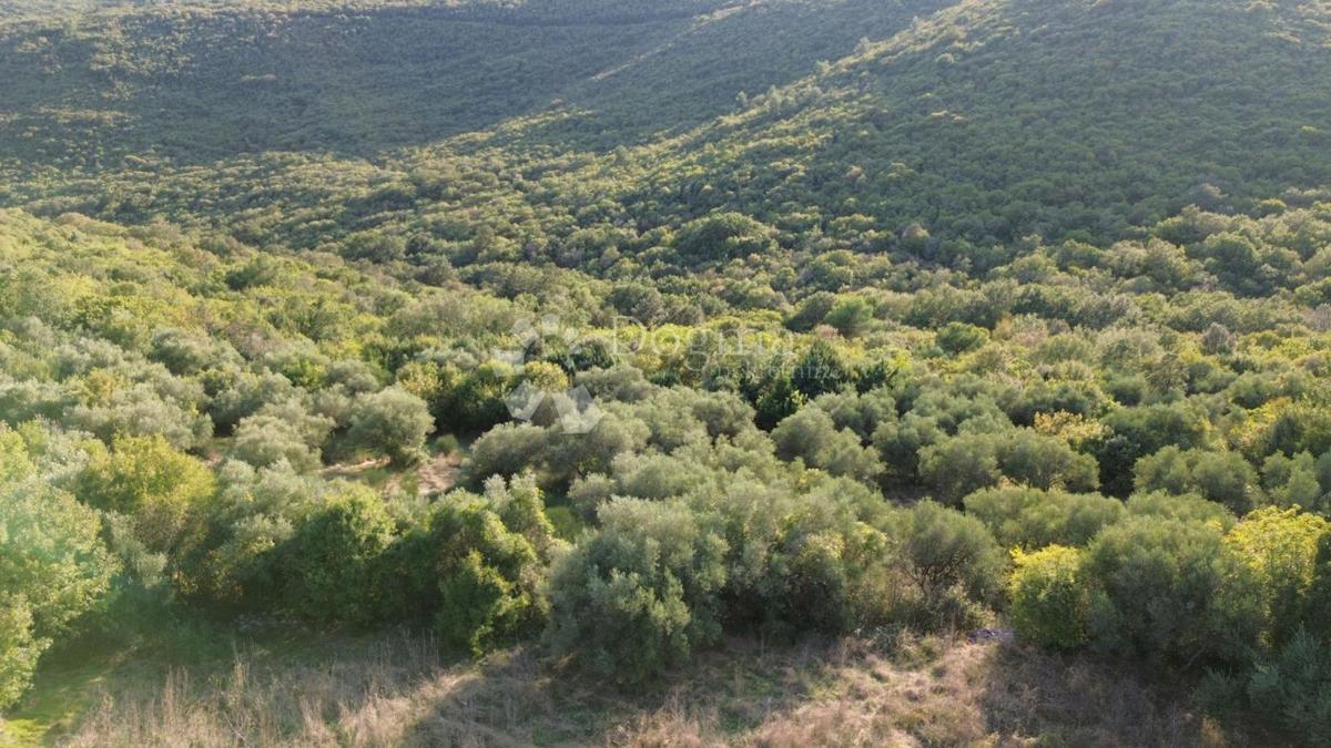 Kmetijsko zemljišče Labin, 8.200m2