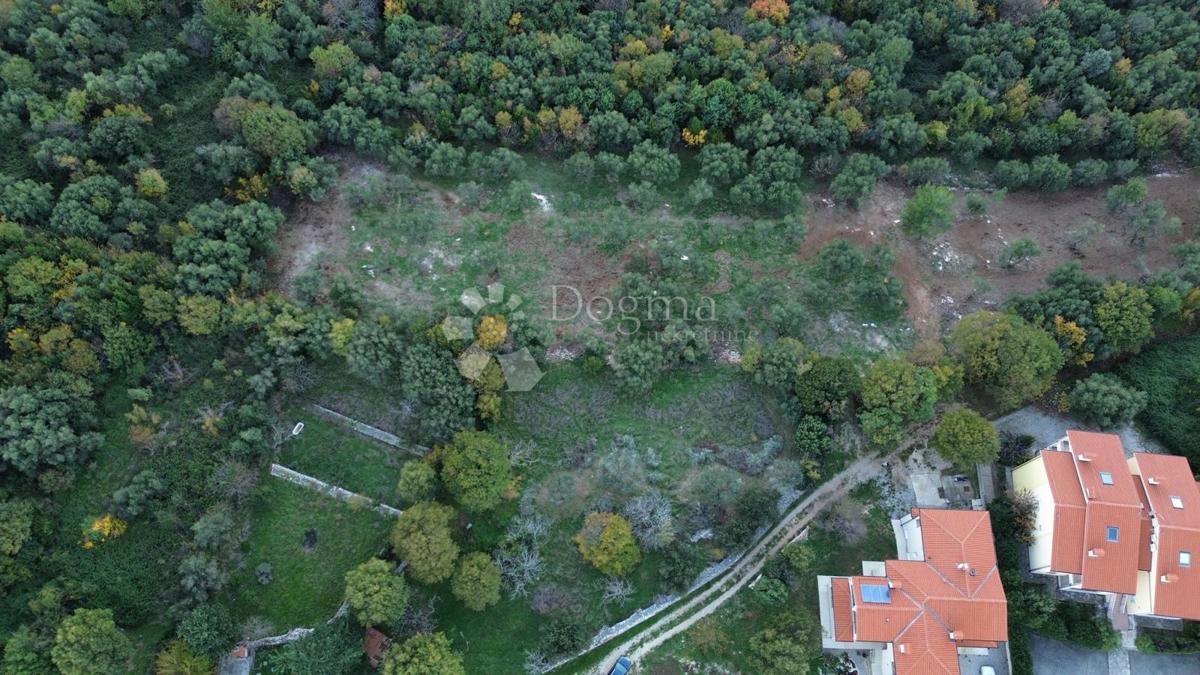 Kmetijsko zemljišče Labin, 8.200m2