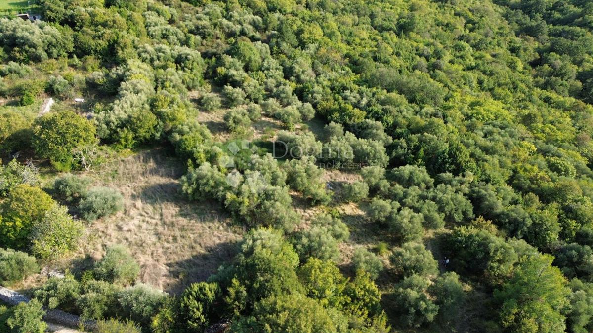 Kmetijsko zemljišče Labin, 8.200m2