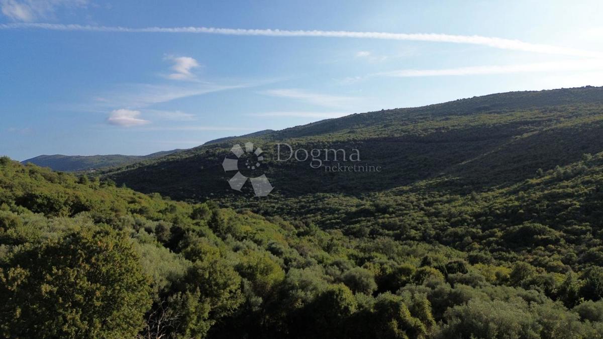 Kmetijsko zemljišče Labin, 8.200m2