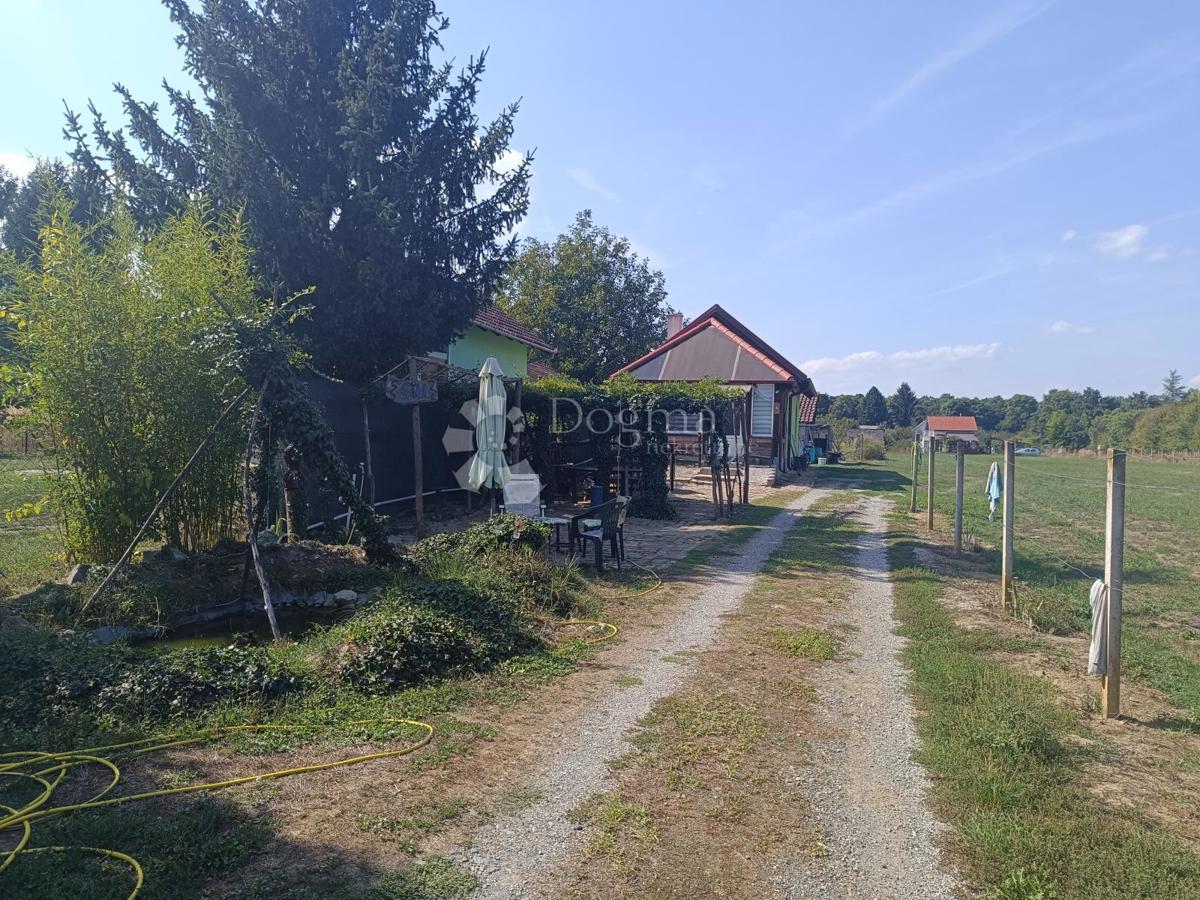 Hiša Petrijevci, 1.403m2
