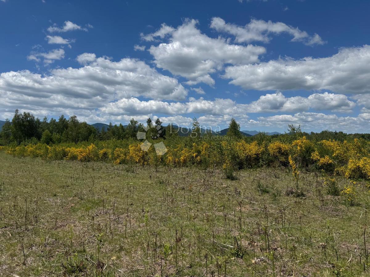 Kmetijsko zemljišče Smiljansko Polje, Gospić - Okolica, 9.000m2