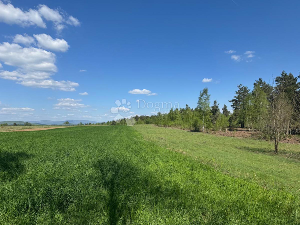 Kmetijsko zemljišče Smiljansko Polje, Gospić - Okolica, 9.000m2