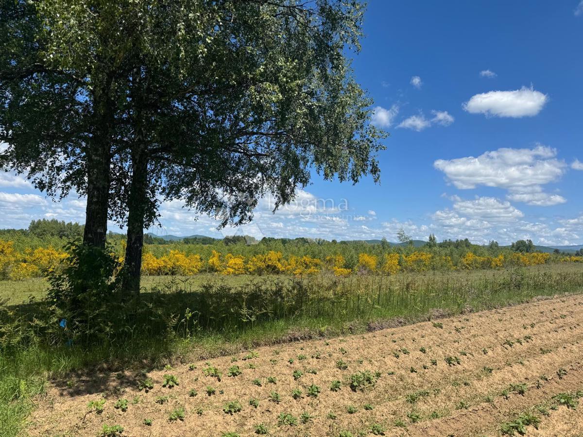 Kmetijsko zemljišče Smiljansko Polje, Gospić - Okolica, 9.000m2