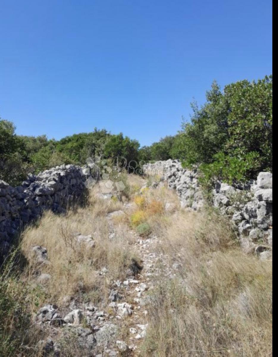 Zazidljivo zemljišče Močići, Konavle, 3.002m2