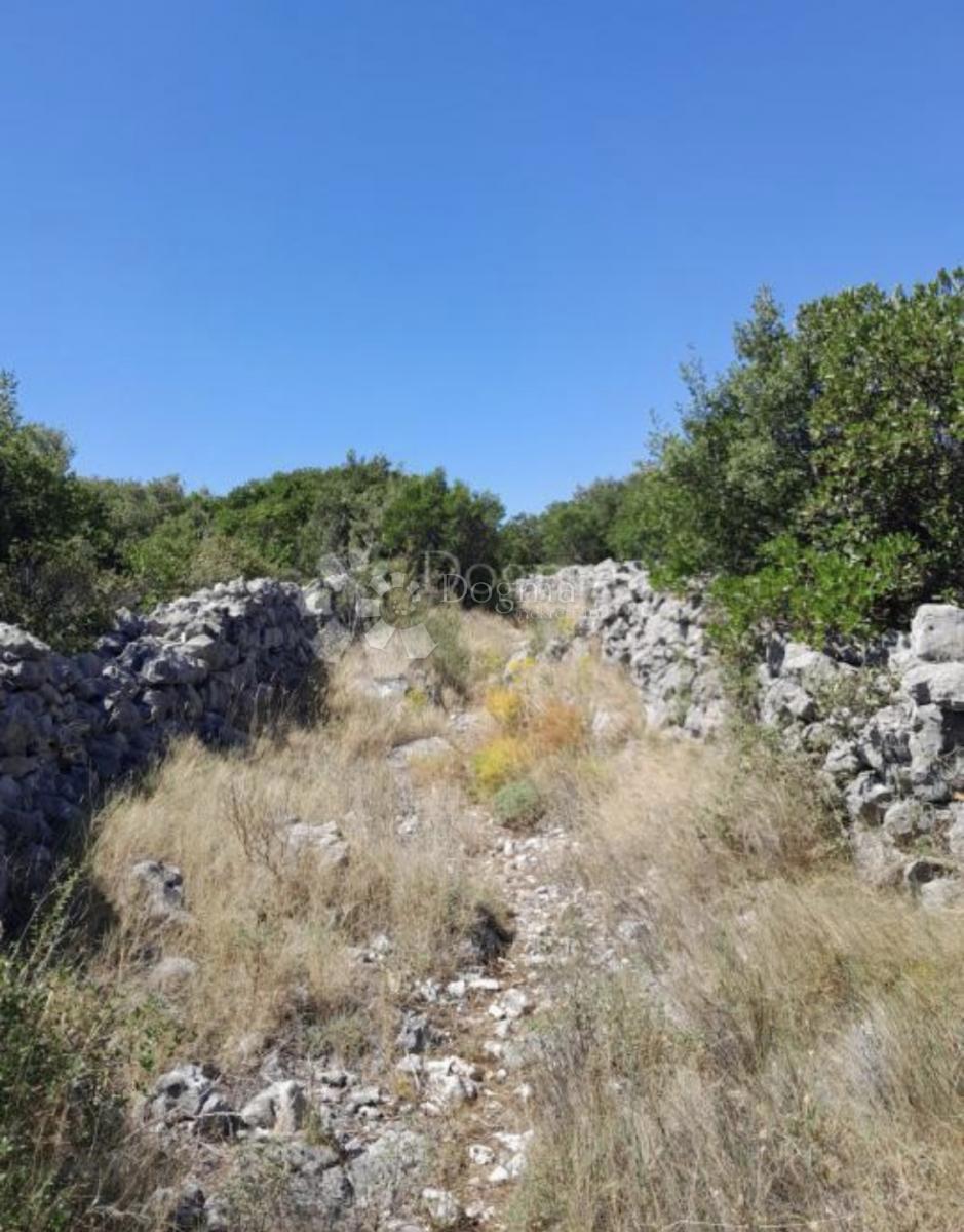 Zazidljivo zemljišče Močići, Konavle, 3.002m2