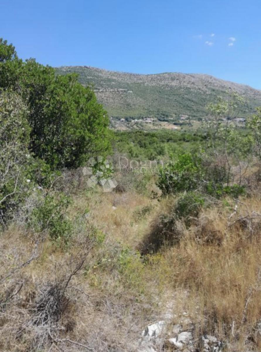 Zazidljivo zemljišče Močići, Konavle, 3.002m2